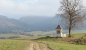 Excursión A pie okres Žilina - Náučný chodník Slnečné skaly - Photo 5