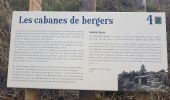 Trail Walking Prats-de-Sournia - prats de sournia hetre remarq.419 m 12km  - Photo 7