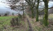Trail Walking Nassogne - Masbourg 250124 - Photo 19