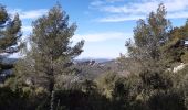 Randonnée Marche Évenos - col de garde destel - Photo 2