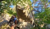 Trail Walking Noisy-sur-École - Le circuit des 25 bosses - Photo 11