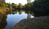 Tocht Stappen Roquebrune-sur-Argens - Roquebrune - Les Campons - Photo 9