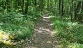 Trail Walking Vendôme - Randonnée dans le Bois de l'Oratoire à Vendôme  - Photo 15