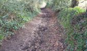 Trail Walking Moyaux - Moyaux - Photo 3