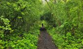 Tour Wandern Châtelet - Marche Adeps à Soleilmont - Photo 4