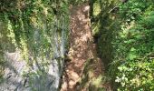 Trail Walking Chimay - rando lompret 26-05-2023 - Photo 12