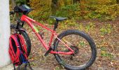 Tocht Mountainbike Saint-Clément - sortie vtt du 01112018 - Photo 4
