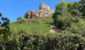 Trail Walking Solutré-Pouilly - Roche de Solutré - Photo 1