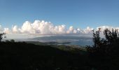 Tocht Stappen Les Trois-Îlets - Morne Gardier - Morne du Riz - Photo 6