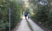 Trail On foot Le Revest-les-Eaux - Source de la Ripelle-10-12-21 - Photo 5