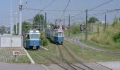 Excursión A pie Zúrich - Milchbuck - Fluntern - Photo 2