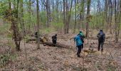 Excursión Senderismo Clamart - La Bossapas de Meudon - Photo 6