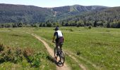 Trail Mountain bike Mittlach - Col du Platzerwasel-Markstein - Photo 3