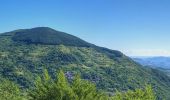 Percorso A piedi Romagnese - Monte Pietra di Corvo - Brallo di Pregola - Passo del Giovà - Photo 8