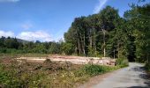 Tocht Stappen Sentheim - Marcher au marché - Photo 1