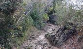 Trail Walking Port-Vendres - batterie - collioure . fort sant elme .port vendres . la mauresque - Photo 20