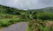 Tocht Stappen Kenmare Municipal District - Gowlane - Killarney (Abbey Cross) - Photo 1