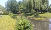 Tocht Fietstoerisme Briare - Châtillon sur Loire à Sully sur Loire  - Photo 3