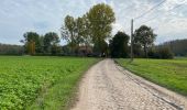 Tour Wandern Zoutleeuw - Zoutleeuw 16 km - Photo 10