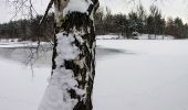 Tour Zu Fuß Forst Kleinschwarzenlohe - Jägersee Bienenweg No.2 - Photo 7