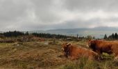 Trail Walking Les Estables - Rocher de Tourte - 02-09-2020 - Photo 8