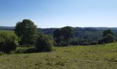 Trail Walking Stoumont - stoumont . corniche - congo . chateau froidcourt . ambleve . stoumont - Photo 1