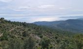 Excursión Senderismo Cavalaire-sur-Mer - Cavalaire - oppidum de montjean crête des pradels - Photo 11