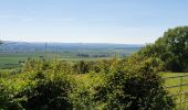 Tocht Stappen Juville - côte de Delme - Photo 4