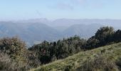 Tour Wandern Roche-Saint-Secret-Béconne - le mont rachas - Photo 3