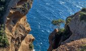 Tour Wandern La Ciotat - Falaise La Ciotat - Mugel - ND de la Garde - Ste Frétouse - Photo 1