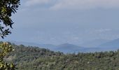 Trail Walking Sainte-Maxime - circuit panoramique Ste Maxime - Photo 2