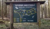 Excursión A pie Wolfhagen - Habichtswaldsteig - Extratour Wolfhagen - Photo 7