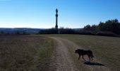 Trail Walking Celles-sur-Ource - Les hauts de Celles sur Ource et Neuville sur Seine - Photo 5