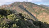 Trail On foot Saint-Raphaël - 2 pics et 3 cols depuis le parking d' Antheor - Photo 6