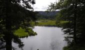 Randonnée Marche La Bresse - Lac de Lispach - Photo 2