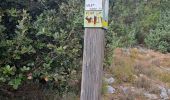 Trail Walking Escragnolles - Cascade de Clars Les Galans Escragnolle - Photo 5