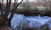 Tour Mountainbike Rambervillers - sortie vtt du 17112018 rambervillers  - Photo 2