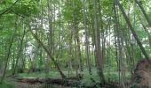 Tocht Stappen Fontenay-lès-Briis - chantal bel ait - Photo 1