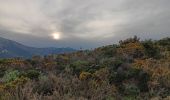 Trail Walking Collioure - madeloc depuis col de la serra, via col de villauria, batterie 500, retour  - Photo 2
