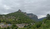 Tocht Elektrische fiets Millau - Millau gorges de la Jonte et gorges du Tarn - Photo 14