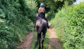 Trail Horseback riding Montsauche-les-Settons - Tracé cimetière militaire stèle  - Photo 5