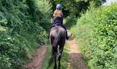 Trail Horseback riding Montsauche-les-Settons - Tracé cimetière militaire stèle  - Photo 5
