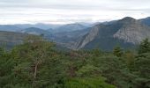 Trail Walking Castellane - Col des lèques - Cadières de branlis - Photo 19