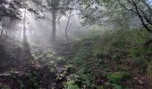 Trail Walking Soultz-Haut-Rhin - Grand ballon  - Photo 1