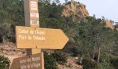 Tour Wandern Saint-Raphaël - Les grues et le Mont St Martin depuis le col Notre Dame - Photo 3