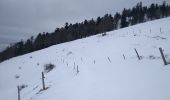 Tocht Sneeuwschoenen Bourbach-le-Haut - Sortie raquettes Hundsruck Belacker - Photo 10