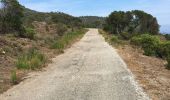 Tocht Mountainbike Gassin - Saint-Tropez - Rayol Canadel sur mer  - Photo 13