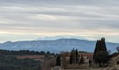 Excursión Senderismo Gruissan - La Clape - La Chapelle des Auzils - Photo 3