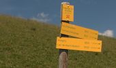 Tour Wandern Beaufort - Areches le mont des accrays - Photo 15