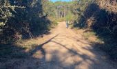 Trail Walking Tarnos - Promenade sud côte Landaise  - Photo 2